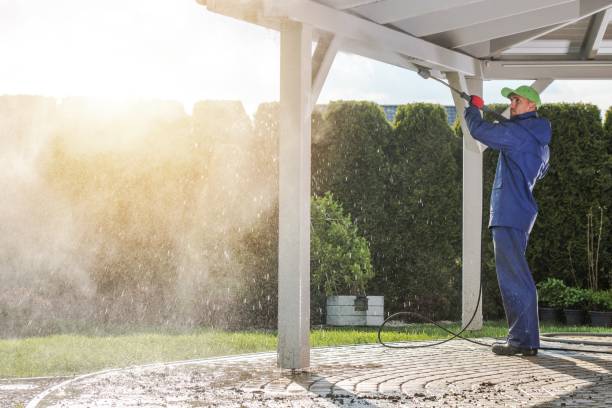 Best Pre-Holiday Cleaning  in Ranlo, NC