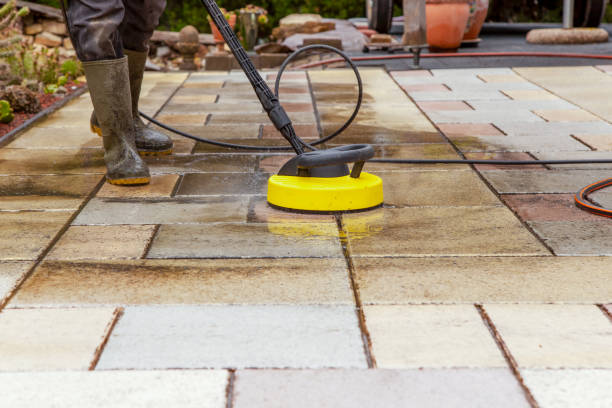 Best Animal Enclosure Cleaning  in Ranlo, NC